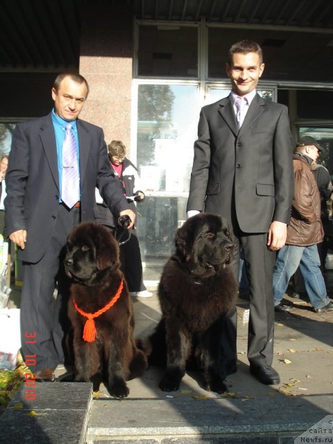 Фотография № 52637