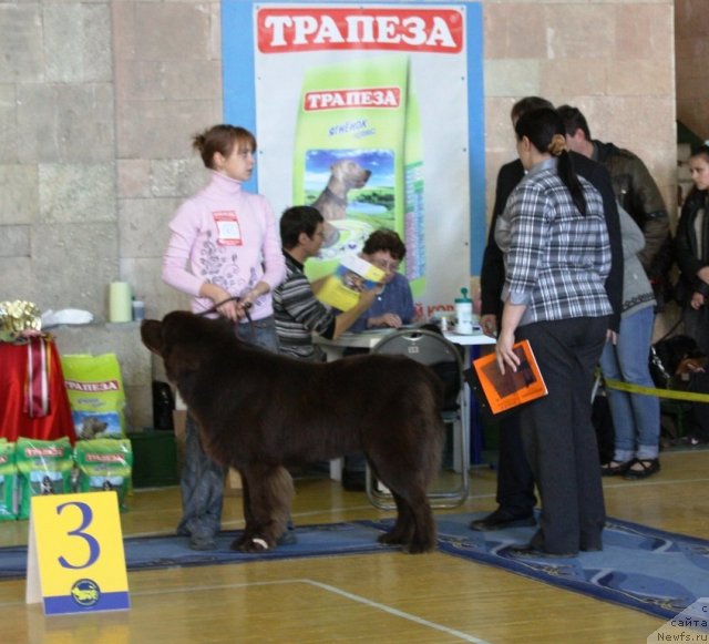 Фотография № 52643