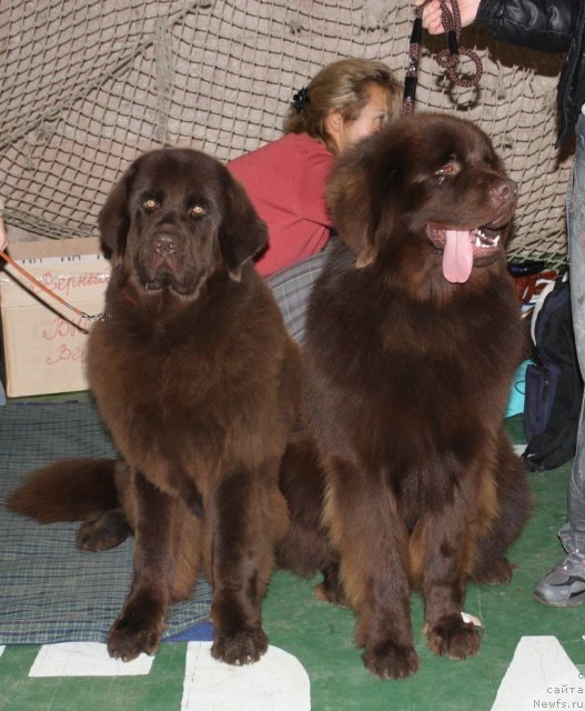 Фотография № 52648