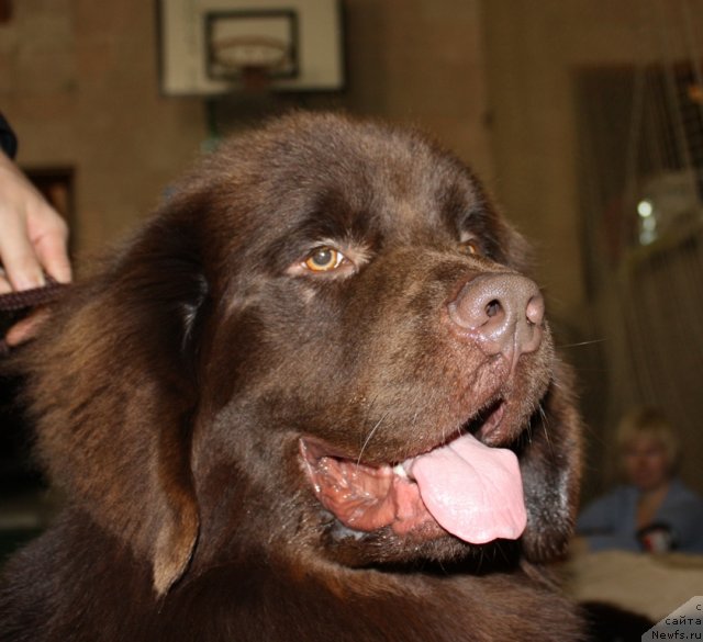 Фотография № 52649