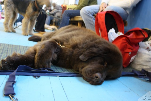 Фотография № 52651