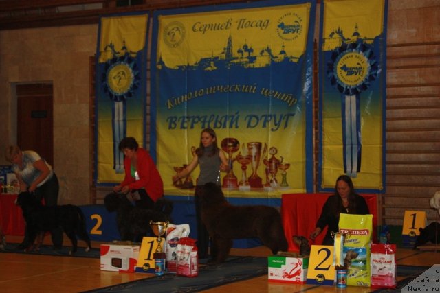 Фотография № 52652