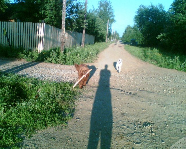 Фото: Дан и Джаз