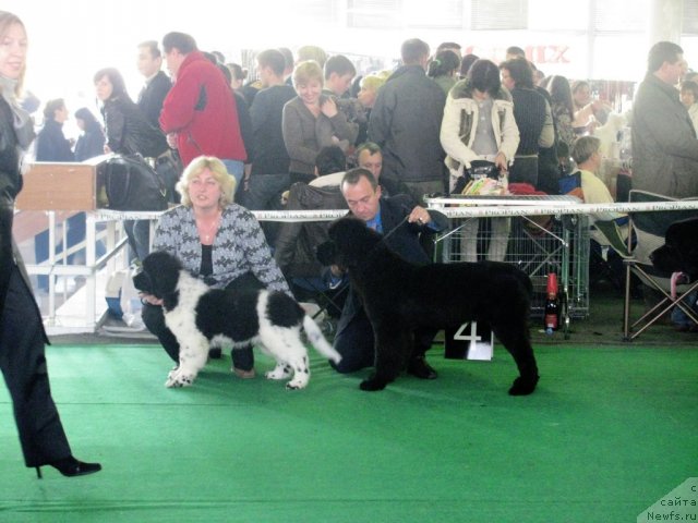 Фотография № 52724