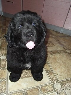 Фото: Любовь Губенко