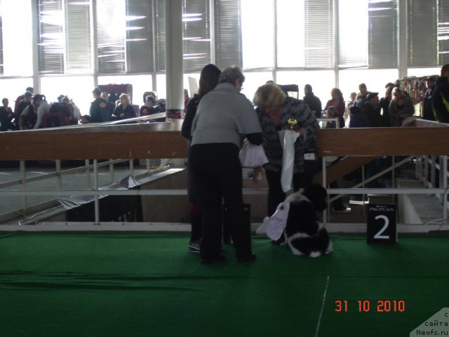 Фотография № 52782