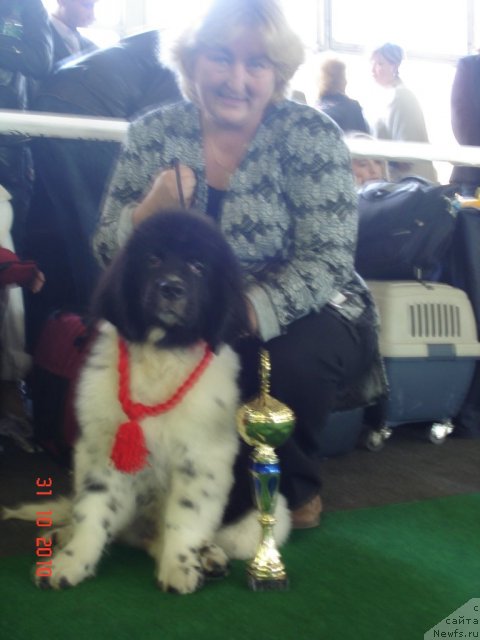 Фотография № 52783