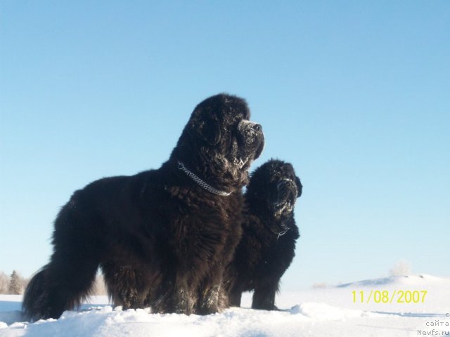 Фотография № 52806