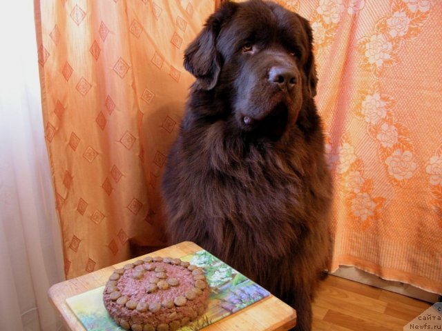 Фотография № 52847