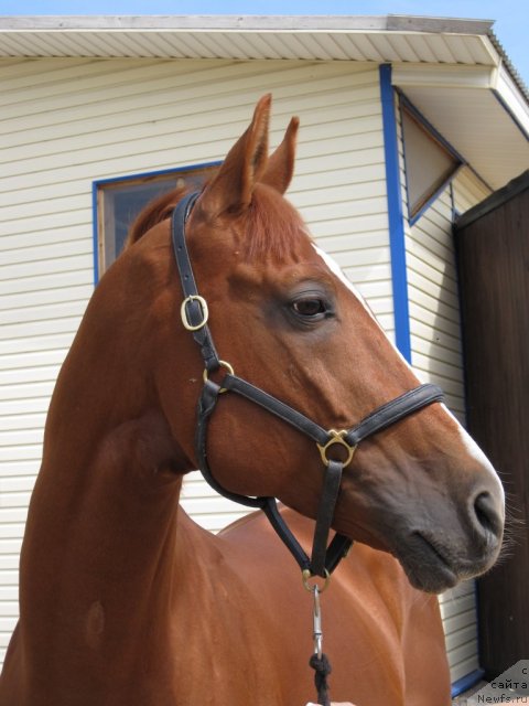 Фотография № 52850