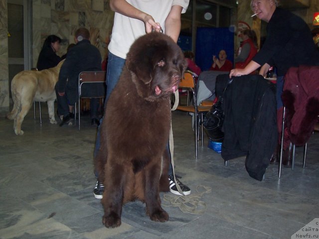 Фотография № 52879