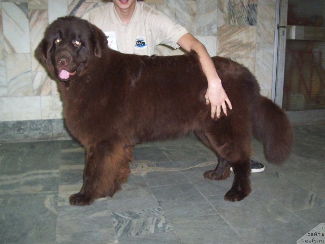 Фотография № 52880