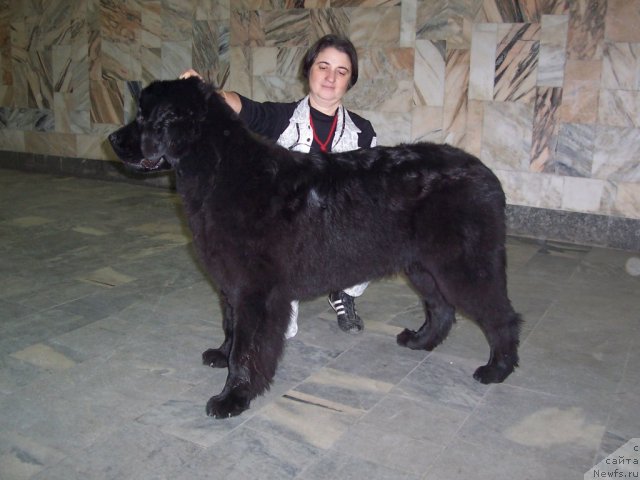 Фотография № 52881