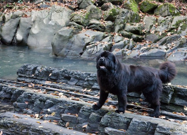 Фотография № 52890