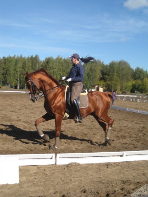 Фотография № 52891