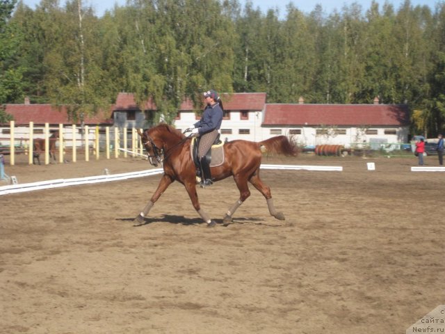 Фотография № 52892