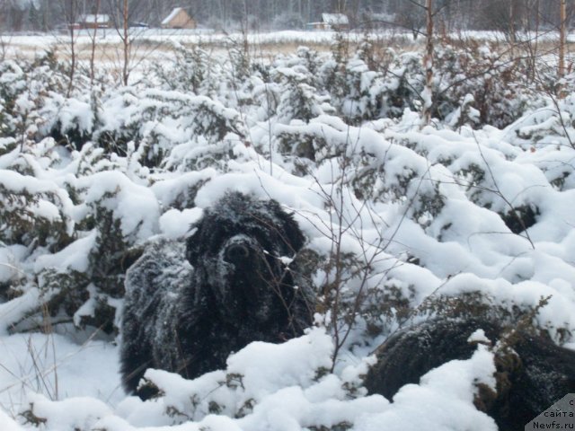 Фотография № 52930