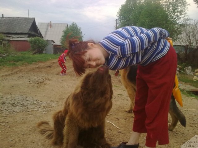 Фото: Ирина Нистратова, Дан