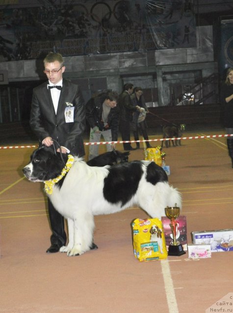 Фотография № 52955