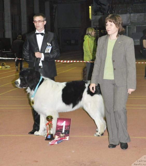 Фотография № 52956