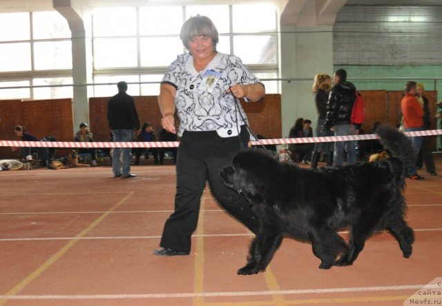 Фотография № 52958