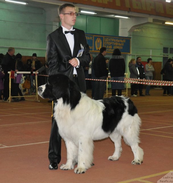 Фотография № 52961