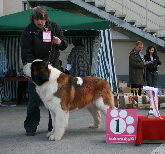 Фотография № 52975