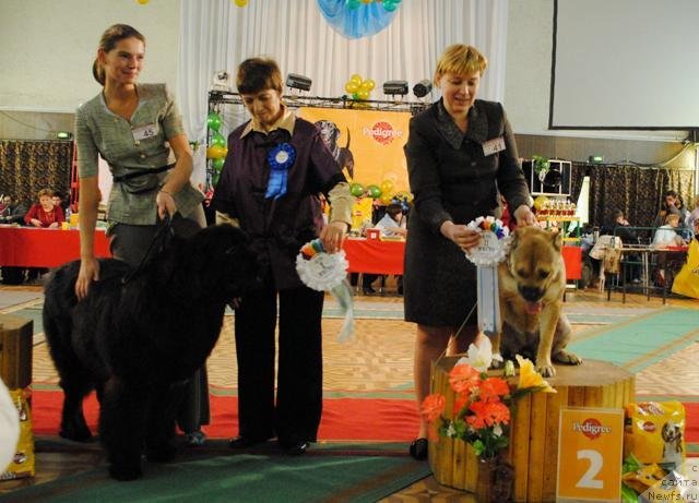 Фотография № 52978