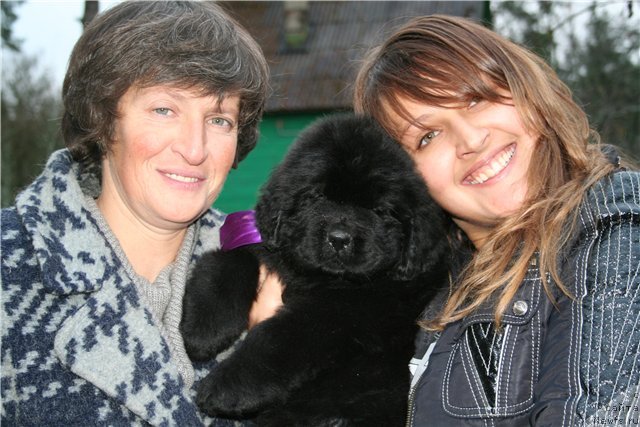 Фото: ньюфаундленд Смигар Гордон-Феллоу (Smigar Gordon Fellow), Наталия Михайлова, Анастасия Михайлова