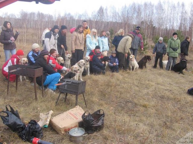 Фото: ньюфаундленд Експрессия  из Медвежьего Яра