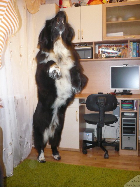 Фото: Владимир Рубис