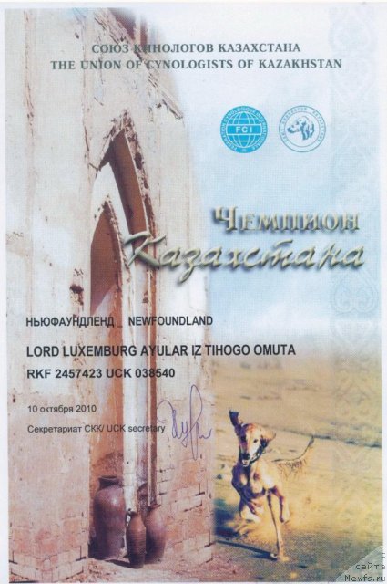 Фотография № 53050