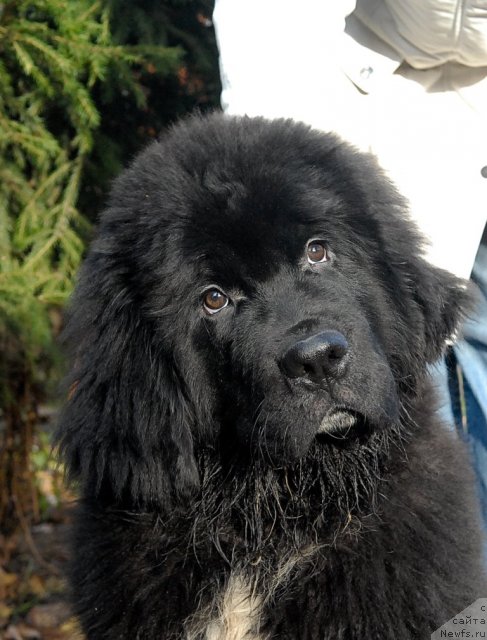 Фотография № 53057