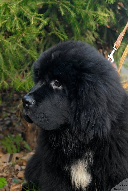 Фотография № 53060