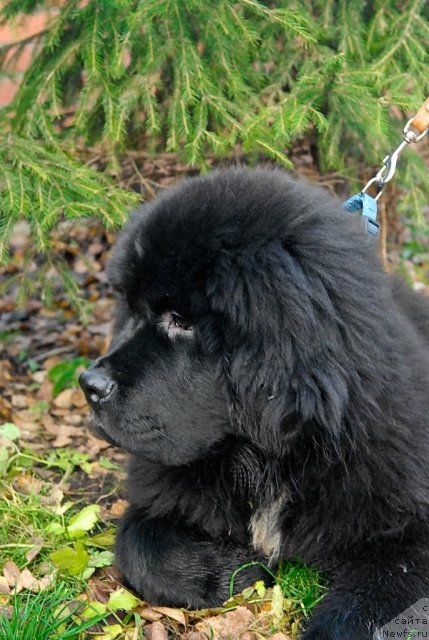 Фотография № 53063