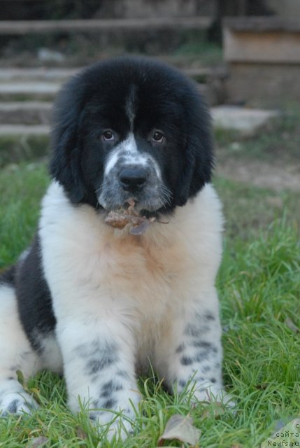 Фотография № 53064