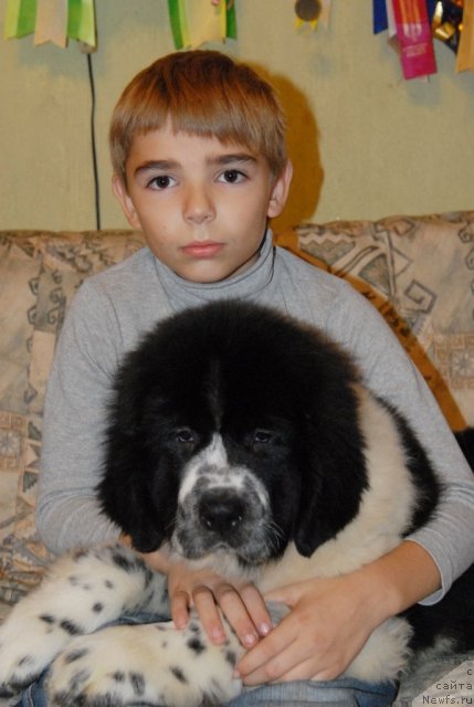 Фотография № 53068