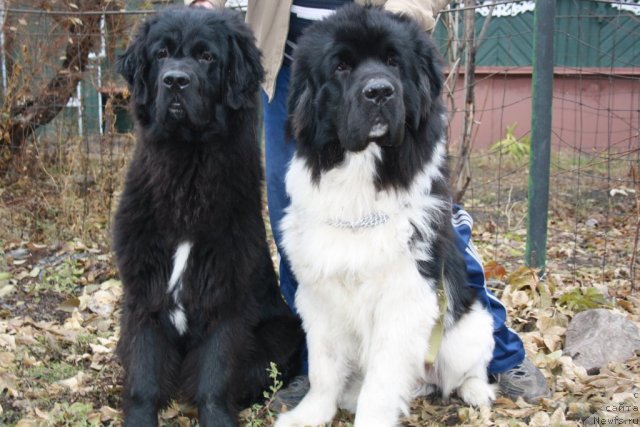 Фотография № 53123