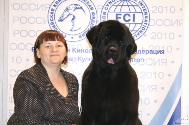 Фотография № 53127