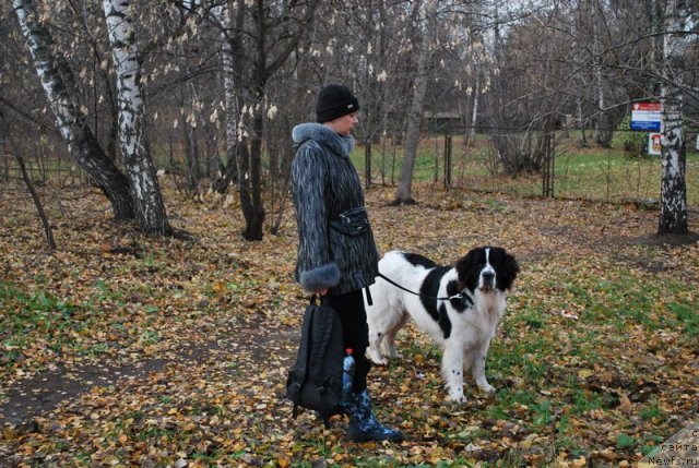 Фотография № 53139