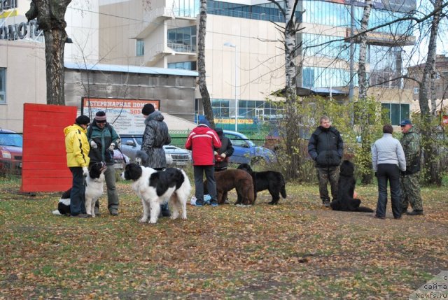 Фотография № 53140