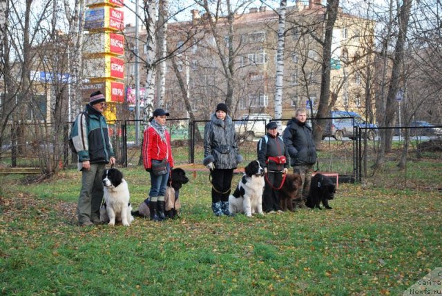 Фотография № 53141