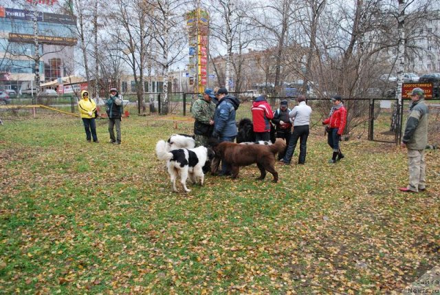 Фотография № 53143