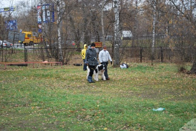 Фотография № 53144