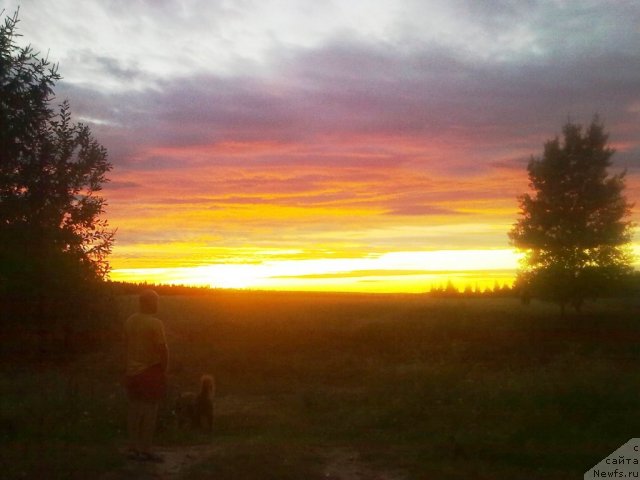 Фото: Нистратов А.Д., Дан