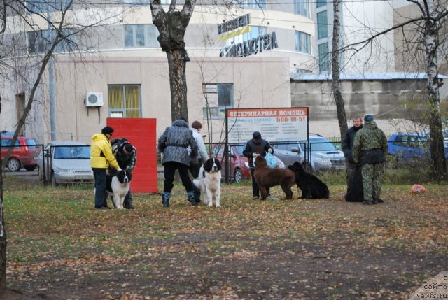 Фотография № 53166