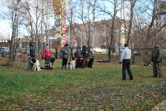 Фотография № 53167