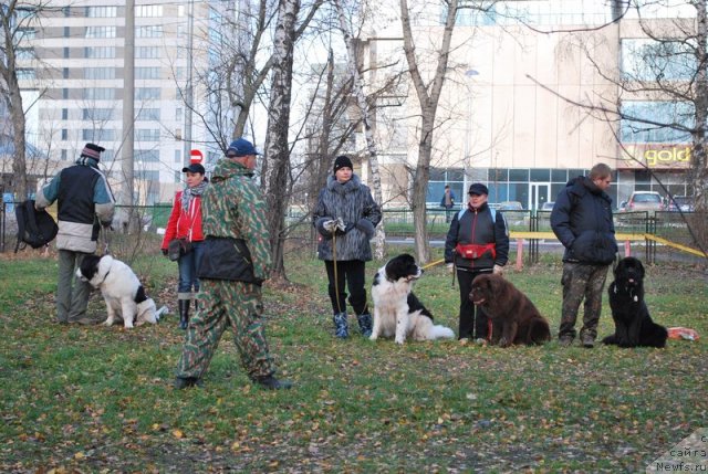 Фотография № 53168