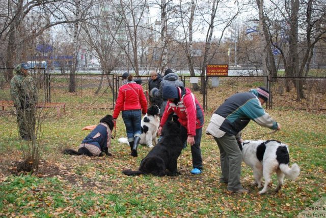 Фотография № 53169