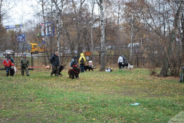 Фотография № 53170